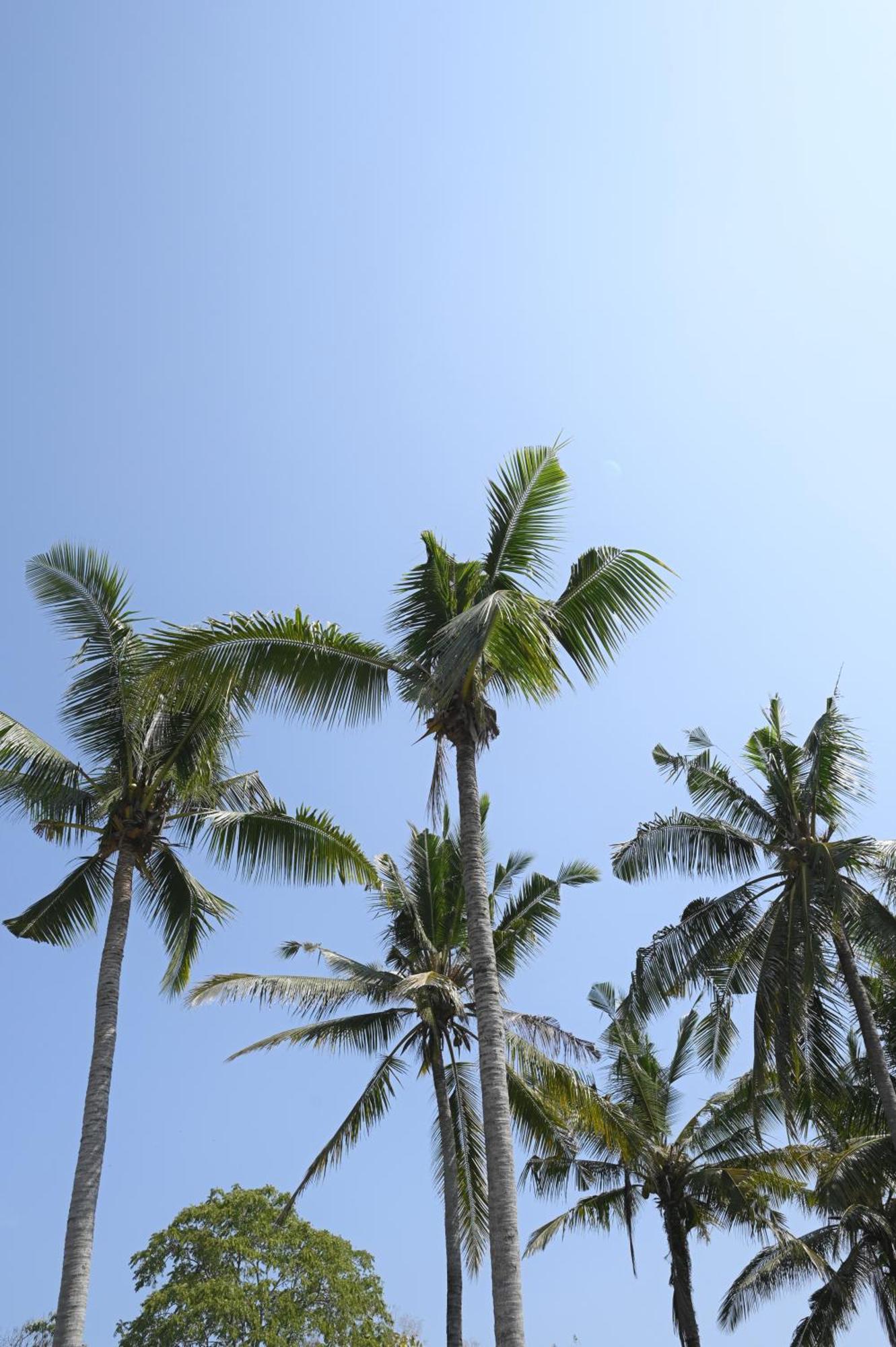 Sanava Balian Bed & Breakfast Exterior photo